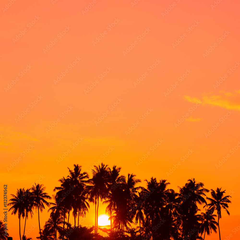 Warm tropical sunrise with palm trees silhouettes