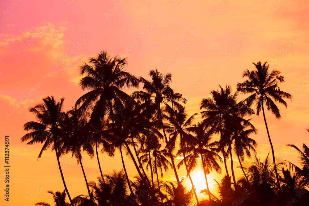 Tropical palm trees silhouettes at warm vibrant sunset on island beach