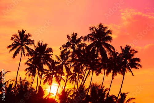 Fototapeta Naklejka Na Ścianę i Meble -  Warm orange sunrise on tropical beach with palm trees silhouettes