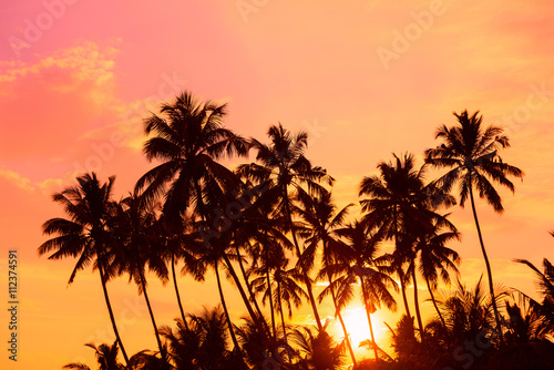 Tropical palm trees silhouettes at warm vibrant sunset on island beach © nevodka.com