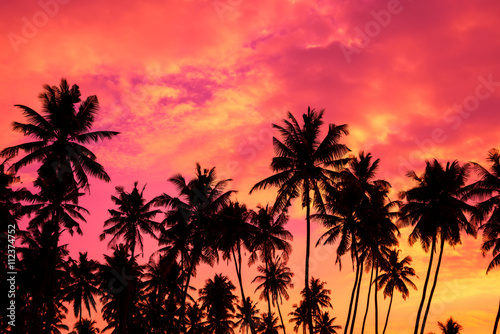 Fototapeta Naklejka Na Ścianę i Meble -  Tropical palm trees silhouettes at sunset
