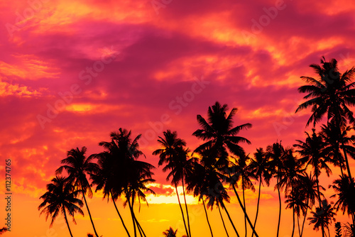 Tropical sunset with palm trees silhouettes © nevodka.com