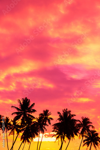 Fototapeta Naklejka Na Ścianę i Meble -  Tropical sunset with palm trees silhouettes and sky for copy space