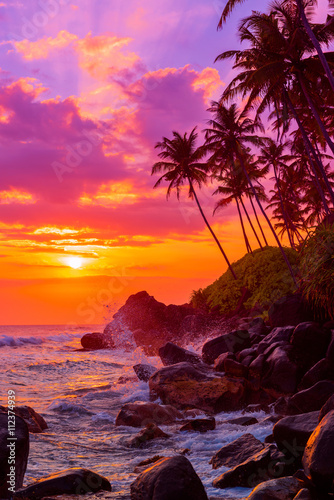 Fototapeta Naklejka Na Ścianę i Meble -  Palm trees on tropical beach at sunset
