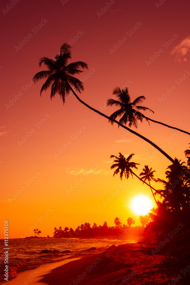 Sunset on tropical beach with palm trees silhouettes and shining sun circle Sunset on tropical beach with palm trees silhouettes and shining sun circle