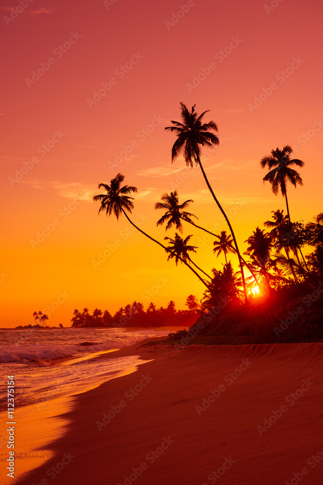 Warm sunset on tropical beach