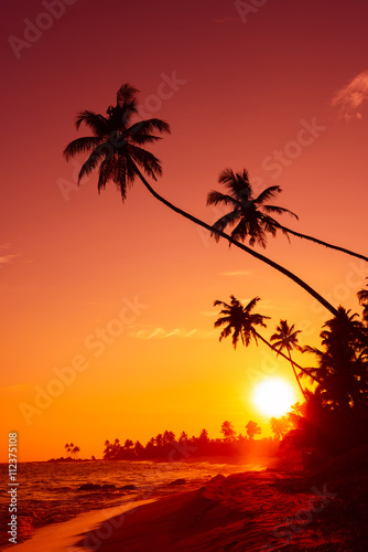 Sunset on tropical beach with palm trees silhouettes and shining sun circle