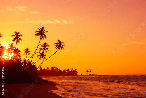 Sunset on tropical beach © nevodka.com