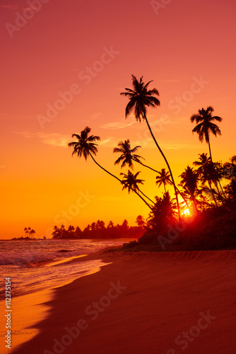 Fototapeta Naklejka Na Ścianę i Meble -  Warm sunset on tropical beach