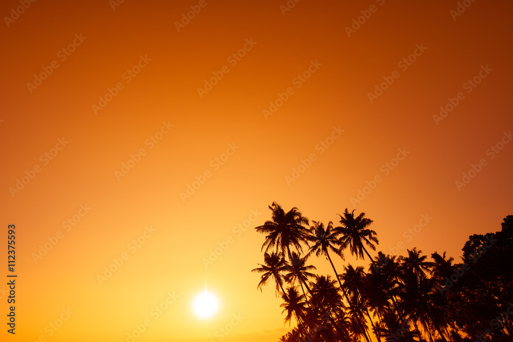 Tropical palm trees silhouettes over warm sunset over the sea