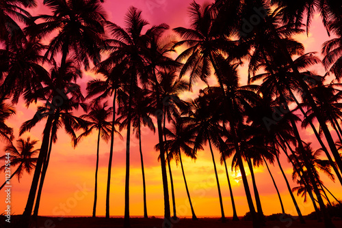 Palm trees silhouettes on tropical beach at vivid sunset time