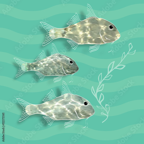 Vector illustration with  fishes and alga.