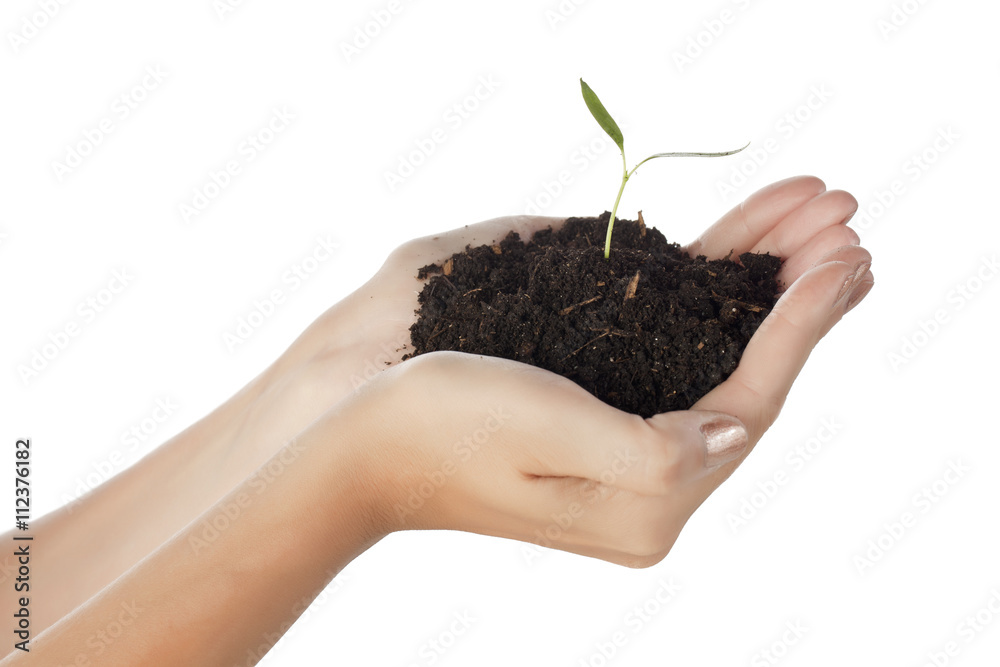 environmental conservation concept environmental conservation concept