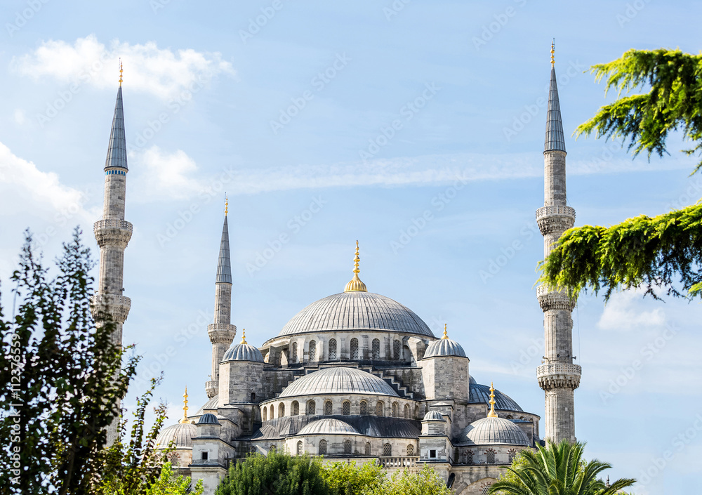 Oriental building with towers