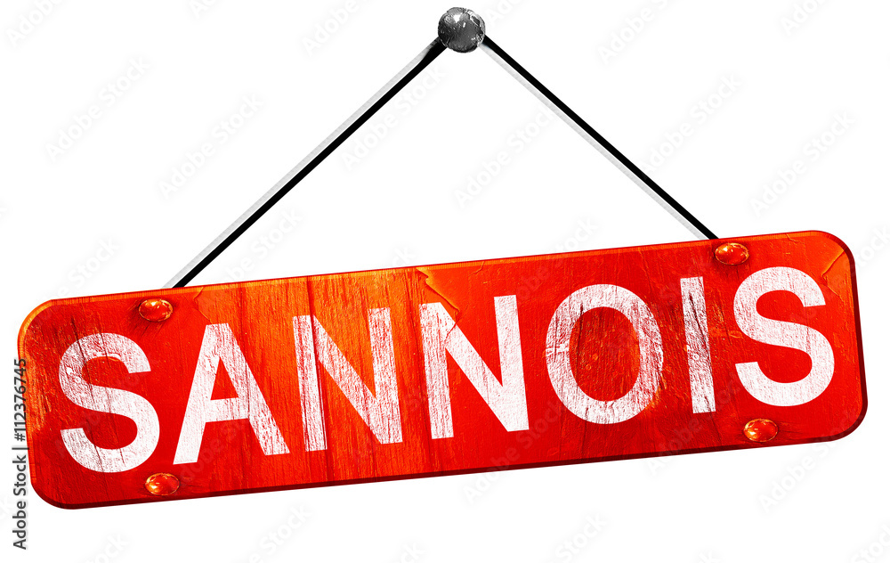sannois, 3D rendering, a red hanging sign sannois, 3D rendering, a red hanging sign