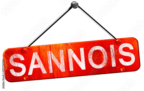 Fotografie sannois, 3D rendering, a red hanging sign