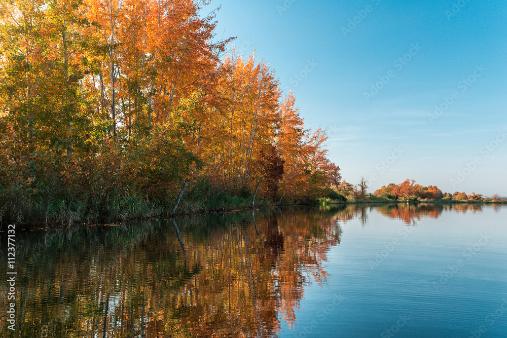The trees on the banks of the river in autumn