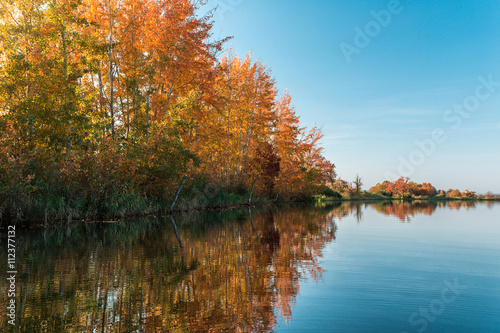 The trees on the banks of the river in autumn