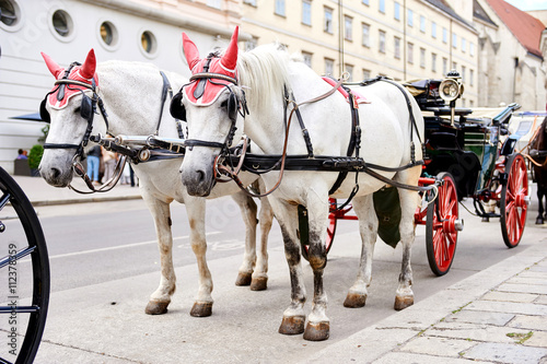Horse-drawn carriage. Vienna, Austria © Alex Tihonov