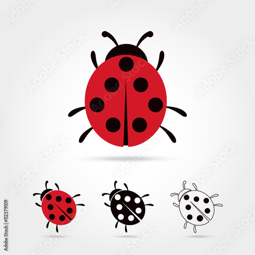 Ladybug vector