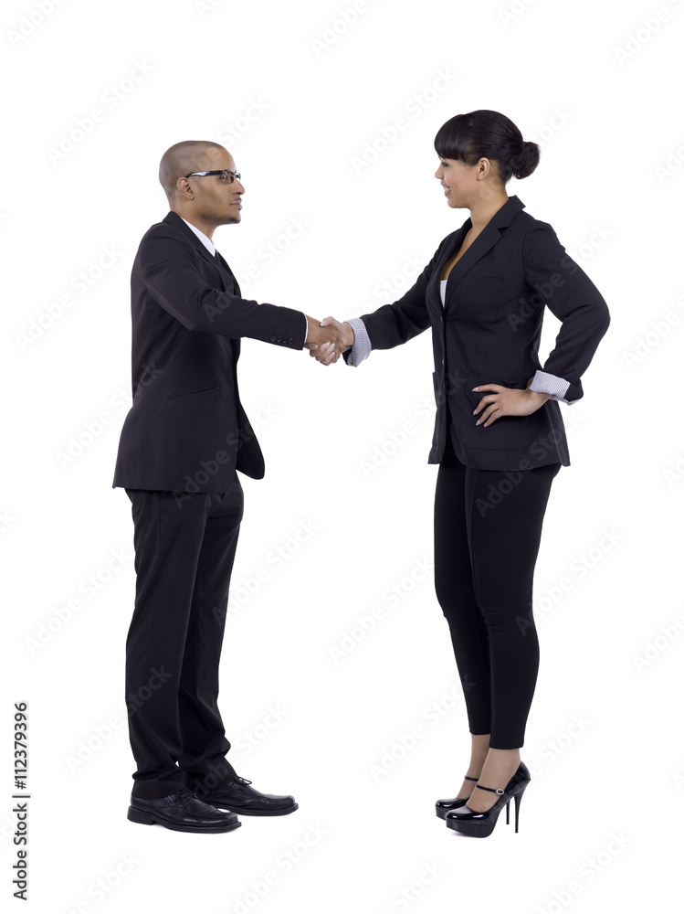 handshaking business partners