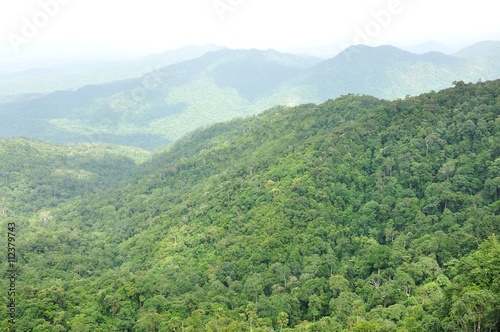Forest landscape at Huai Kha Khaeng Wildlife Sanctuary, Thailand, World Heritage  photo