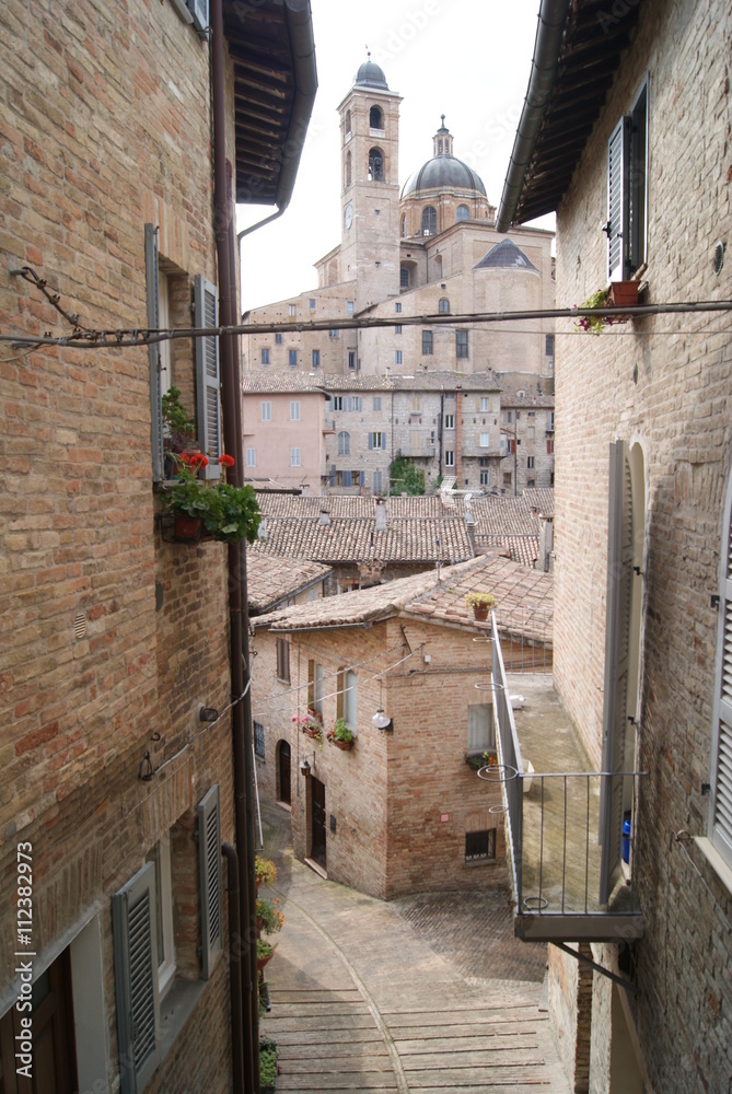 urbino