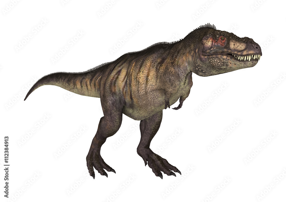 3D Rendering Dinosaur Tyrannosaurus on White 3D Rendering Dinosaur Tyrannosaurus on White