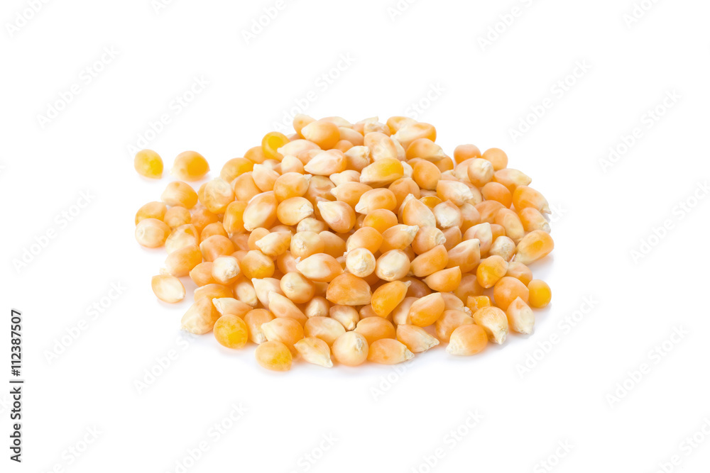 Corn seeds isolated on white background. Corn seeds isolated on white background.