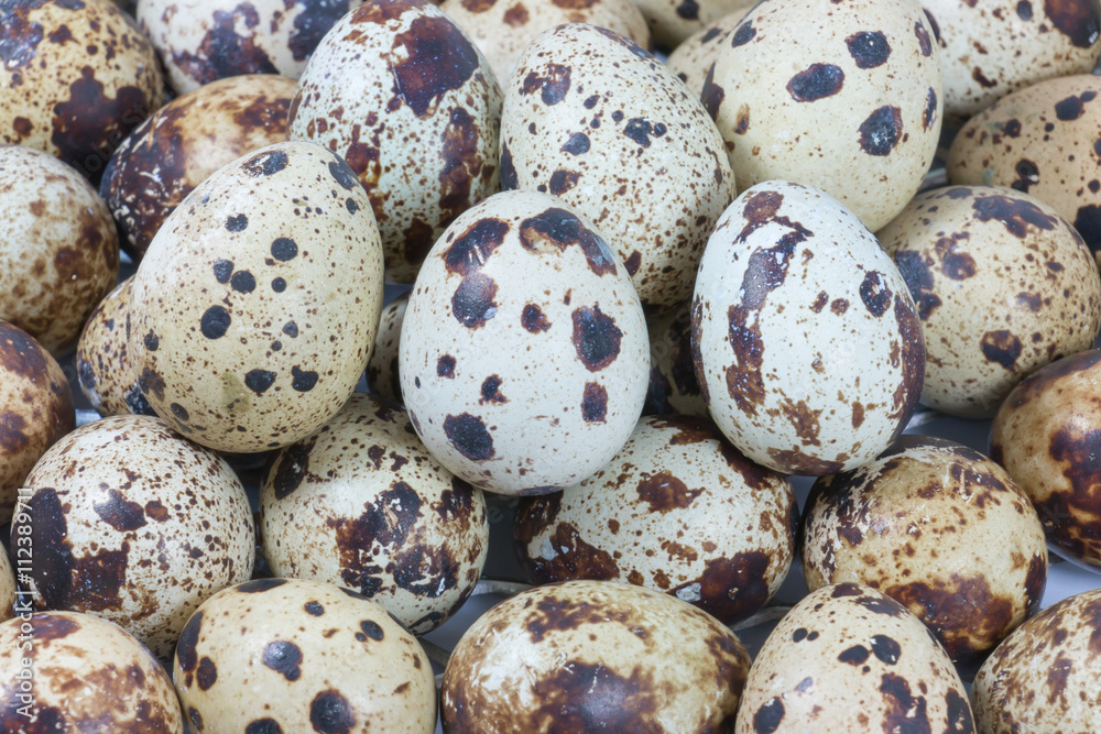 Fototapeta premium Fresh quail eggs. Organic food
