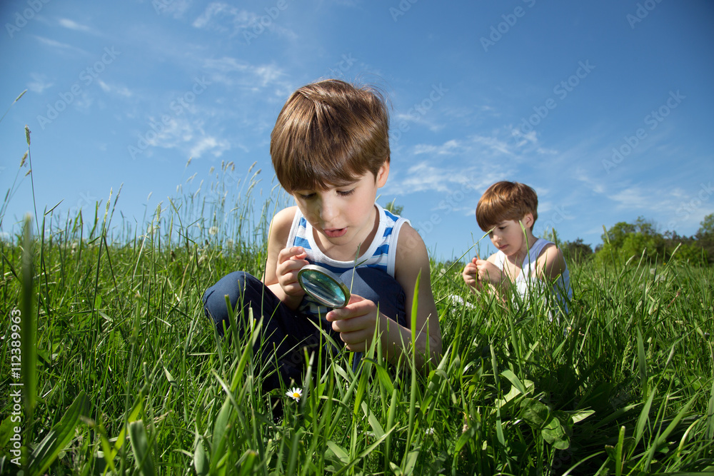 Curious Boy With Magnifying Glass Exploring White Daisy On Green Field At Spring Time, Blue Sky Background Curious Boy With Magnifying Glass Exploring White Daisy On Green Field At Spring Time, Blue Sky Background