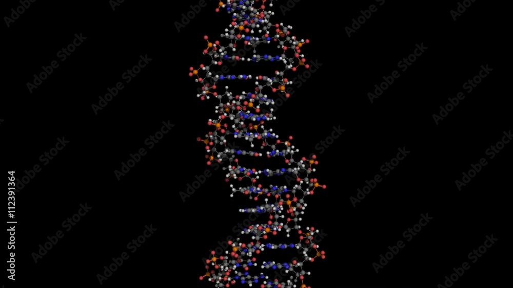 dna molecule ball and stick model rotating about y axis seamless ...