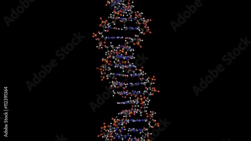 dna molecule ball and stick model rotating about y axis seamless loopable 4K UHD