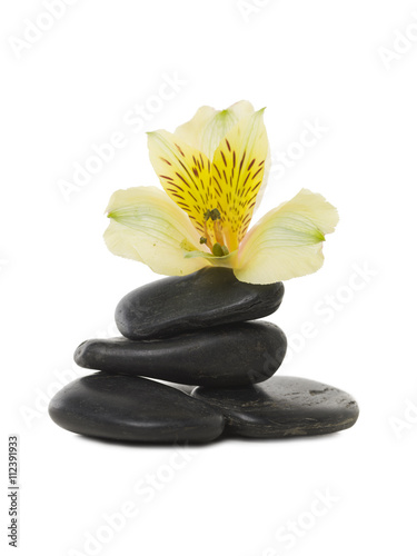 spa stones with flower