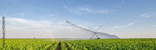 Agricultural irrigation system watering corn field in summer photo