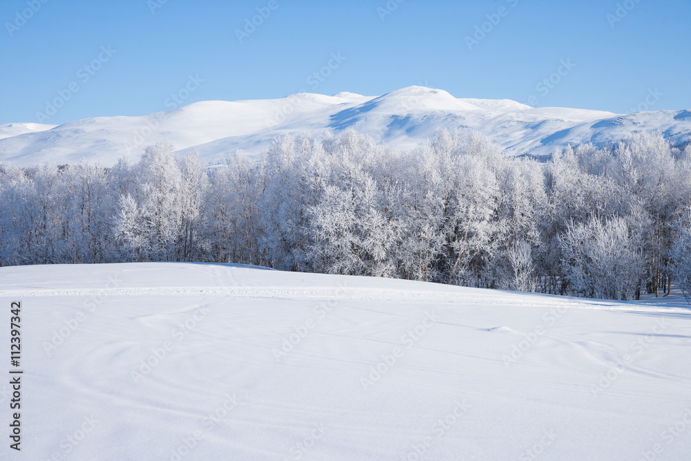 Winterlandschaft in Schweden an einem sonnigen Tag