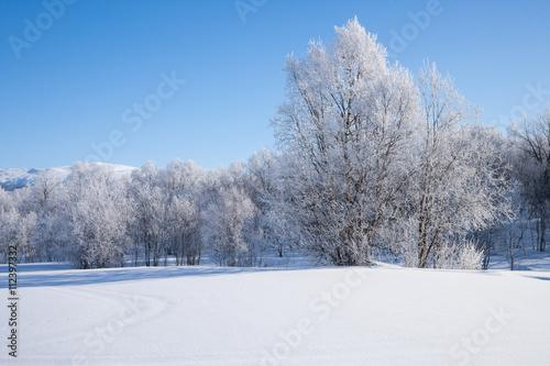 Winterlandschaft in Schweden an einem sonnigen Tag © Alexander Erdbeer