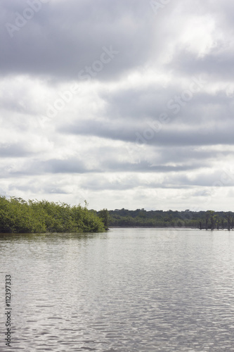 View of Amazon river and local vegetation with cloudy sky