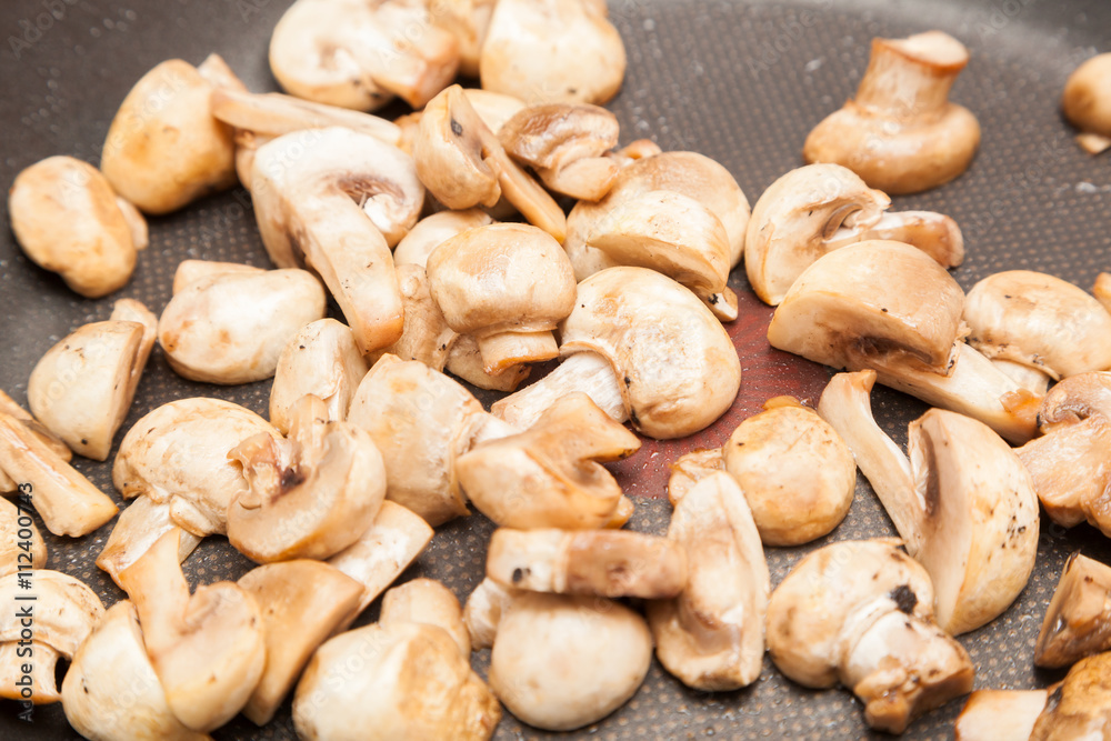 Champignons Champignons