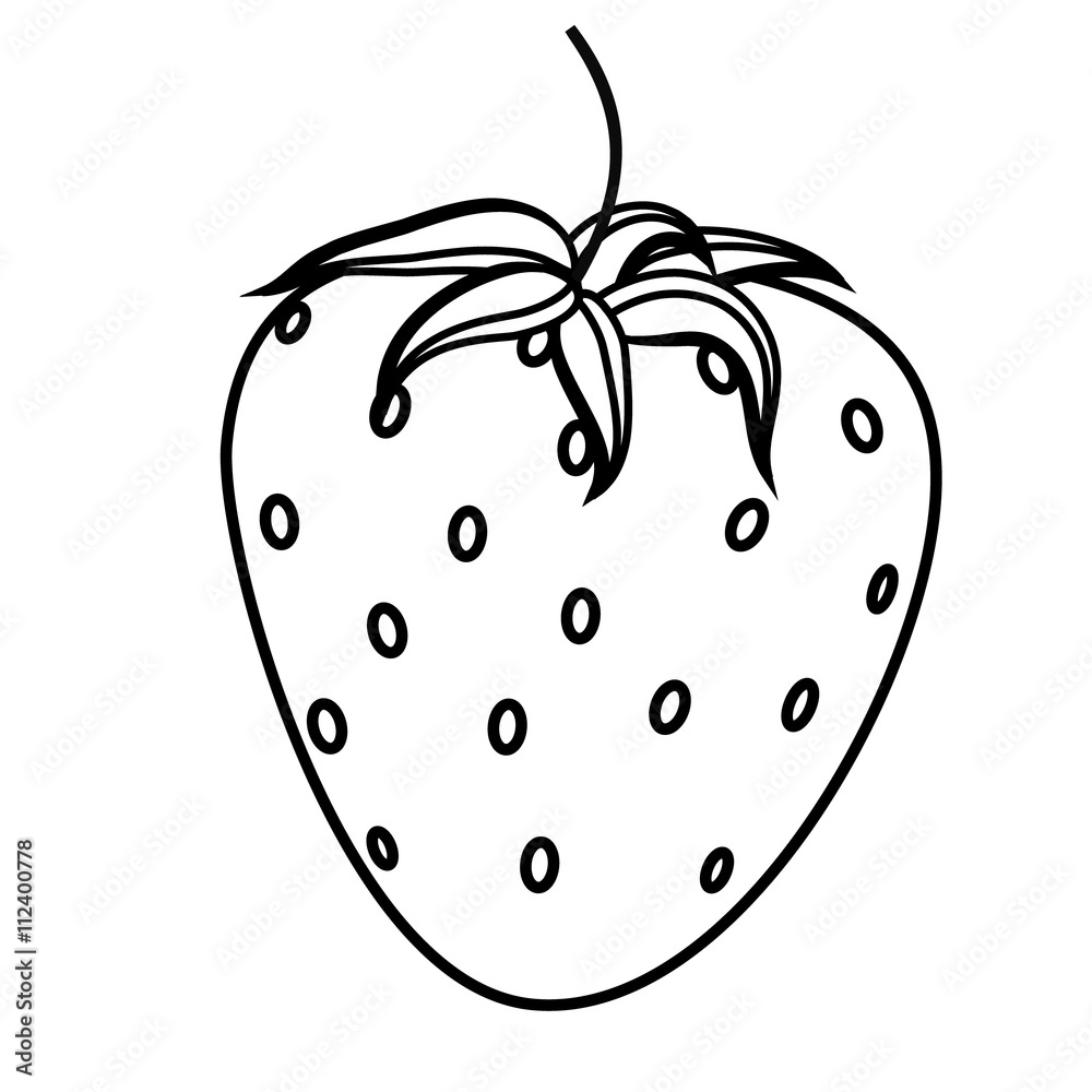 Sketch of a strawberry coloring Sketch of a strawberry coloring