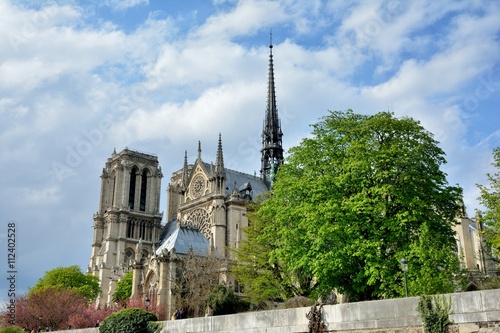 La cathédrale Notre-Dame de Paris au coeur de l'île de la Cité