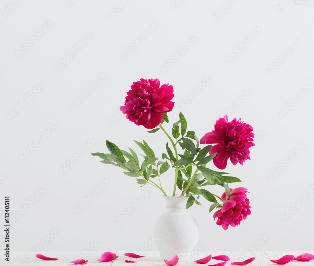 Fototapeta premium peonies in vase on white background