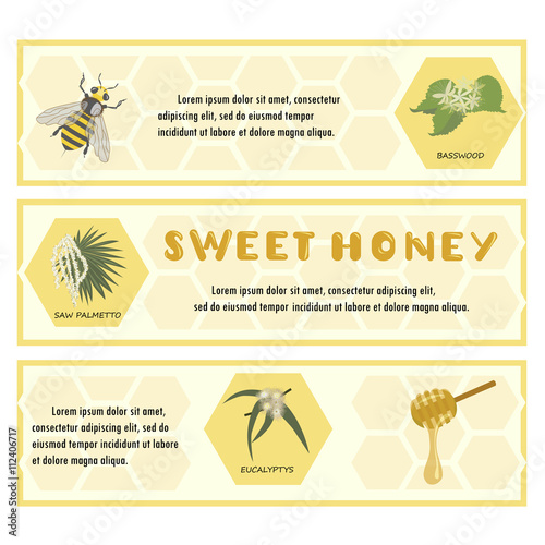Honey set for banner, flyer, exhibitions, posters. Flowers, bees and honeycomb. Hand drawn design element isolated on white background. Place for text. eps10 vector