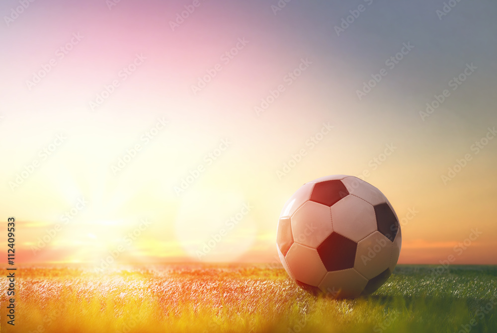 Fototapeta premium ball on green grass