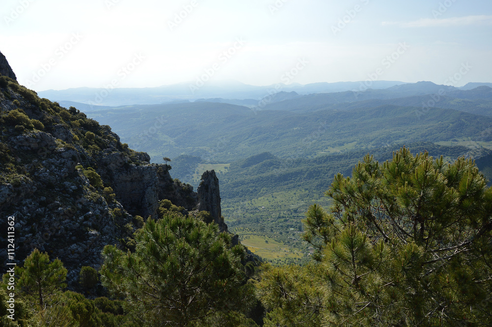 Fototapeta premium bosques y sierras