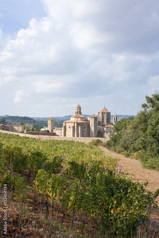 Beautiful view of the ancient Poblet Monastery and a vineyard in in autumn