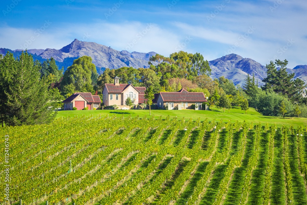 Small Vineyard Marlborough region, New Zealand Small Vineyard Marlborough region, New Zealand