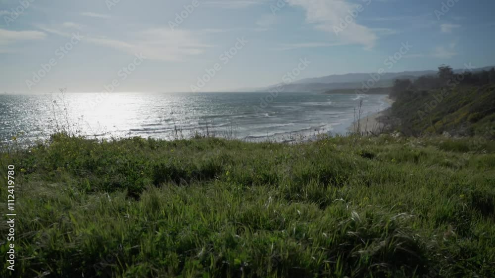 Wind blow grass near the beaches of Point Conception State Marine Reserve Wind blow grass near the beaches of Point Conception State Marine Reserve