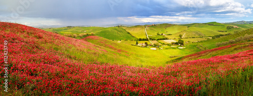 Tuscany scenery: green fields and hills, panorama landscape.