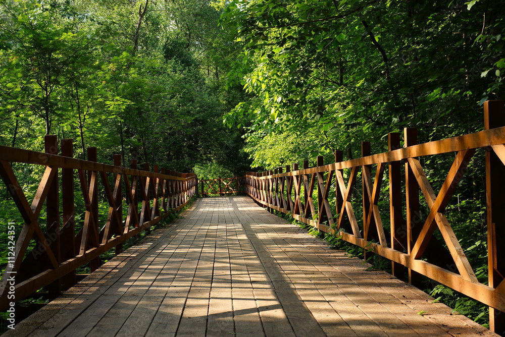 Wooden pavement in the forest. Summer landscape. Wooden pavement in the forest. Summer landscape.
